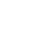 A1 PRINT logo